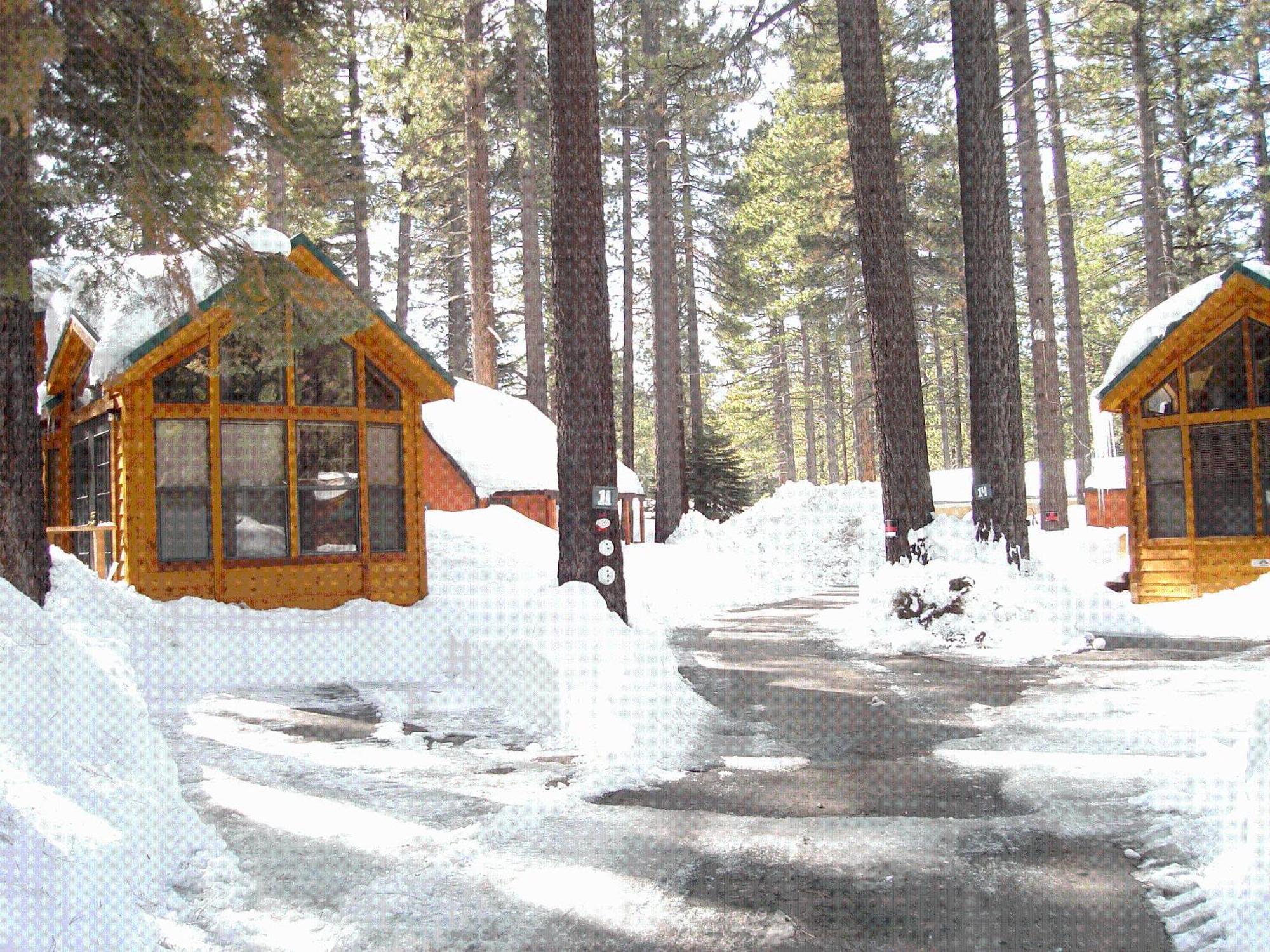 Cedar Pines Resort South Lake Tahoe Exterior foto